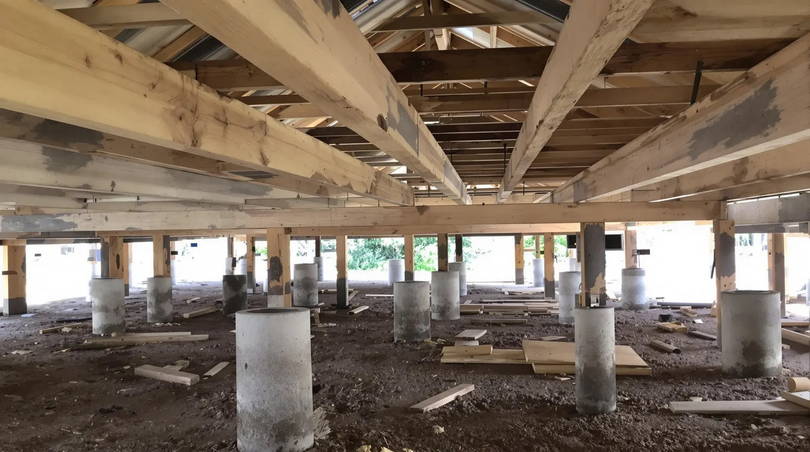 New treated pine bearers and joists on concrete stumps under a house